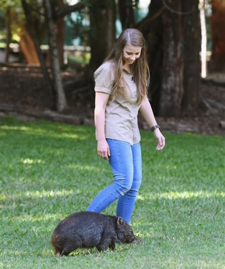 Bindi Irwin Height, Weight, Measurements, Bra Size, Shoe Size