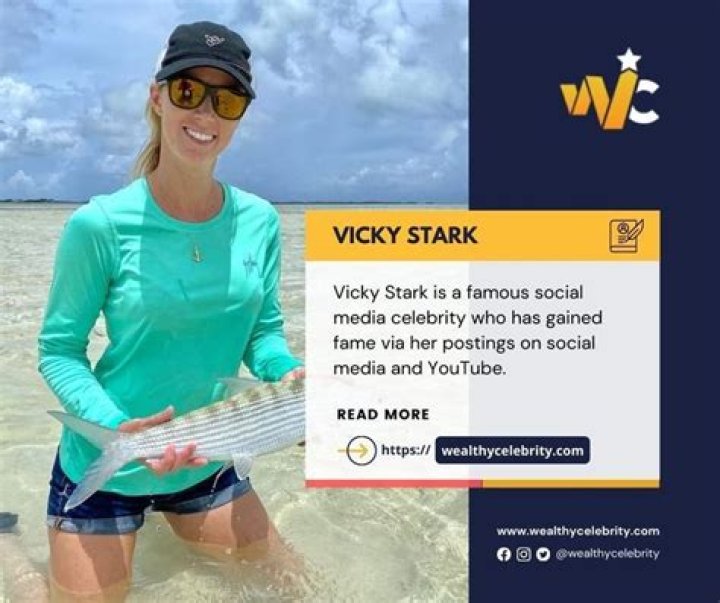 Everything You Need To Know About Vicky Stark