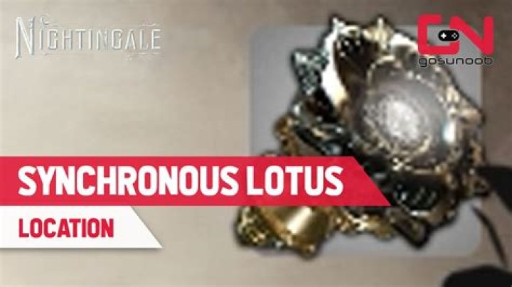 How to Get Synchronous Lotus in Nightingale? - SarkariResult