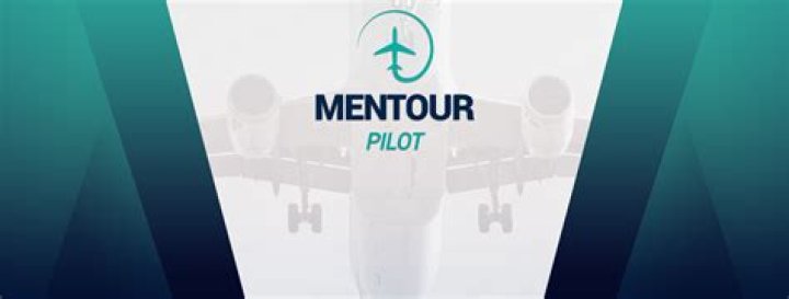 Mentour Now! video statistics