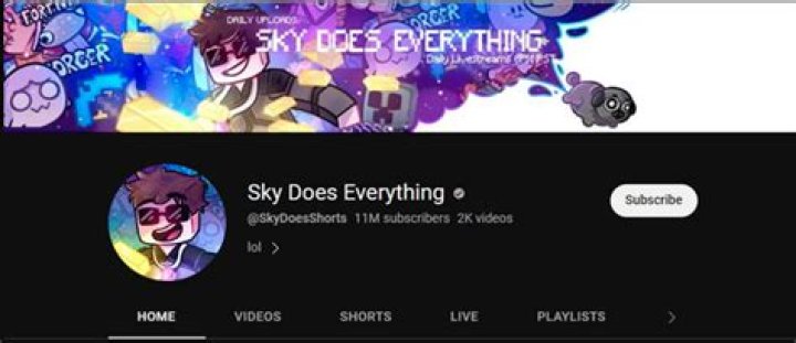 Sky Does Everything Youtuber overview