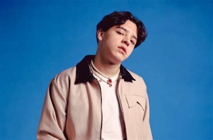 Xavi Singer Accident Hospitalised In Coma, How Did Xavi Singer Accident Happen? - SarkariResult