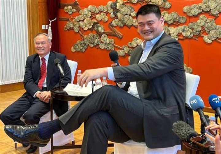 Yao Ming, Net Worth, Salary, Career, Profession